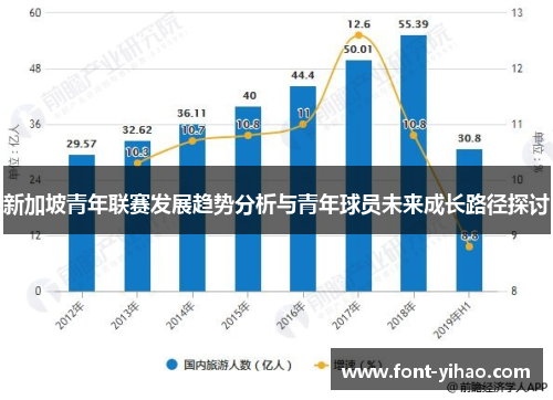 新加坡青年联赛发展趋势分析与青年球员未来成长路径探讨