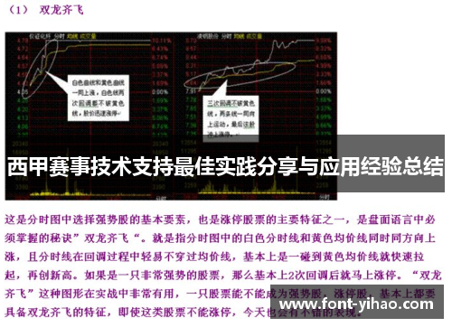 西甲赛事技术支持最佳实践分享与应用经验总结