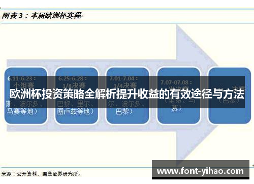 欧洲杯投资策略全解析提升收益的有效途径与方法